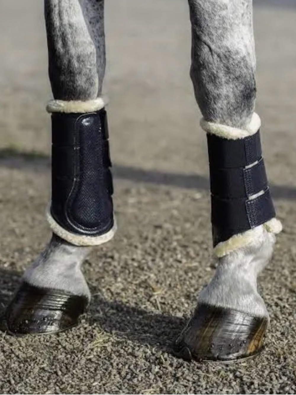 Equestrian Stockholm Midnight Blue Fleece-Lined Horse Brushing Boots - Large